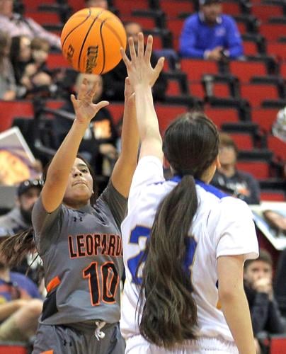 Lady Lakers Basketball