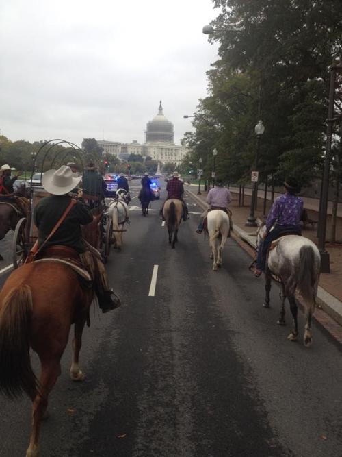 Cowboy Express/Grass March in Washington, D.C.
