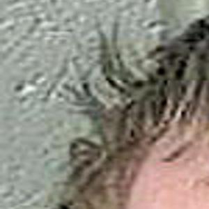 Elko S Most Wanted Paul Andrew Cowles News Elkodaily Com