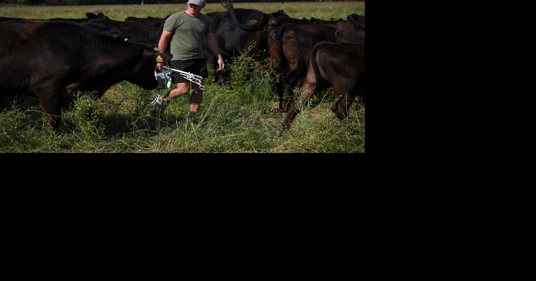 As Europe bakes, momentum grows for climate-resilient farming James Davey, Simon Jessop and Alexander Marrow Reuters Aug 23, 2026 7 sec ago