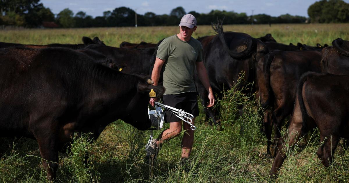 As Europe bakes, momentum grows for climate-resilient farming James Davey, Simon Jessop and Alexander Marrow Reuters Aug 23, 2026 7 sec ago