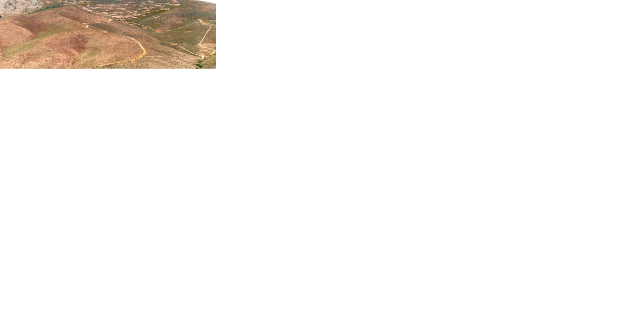 Orla Mining acquires Contact Gold, grows South Railroad - Vimarsana News