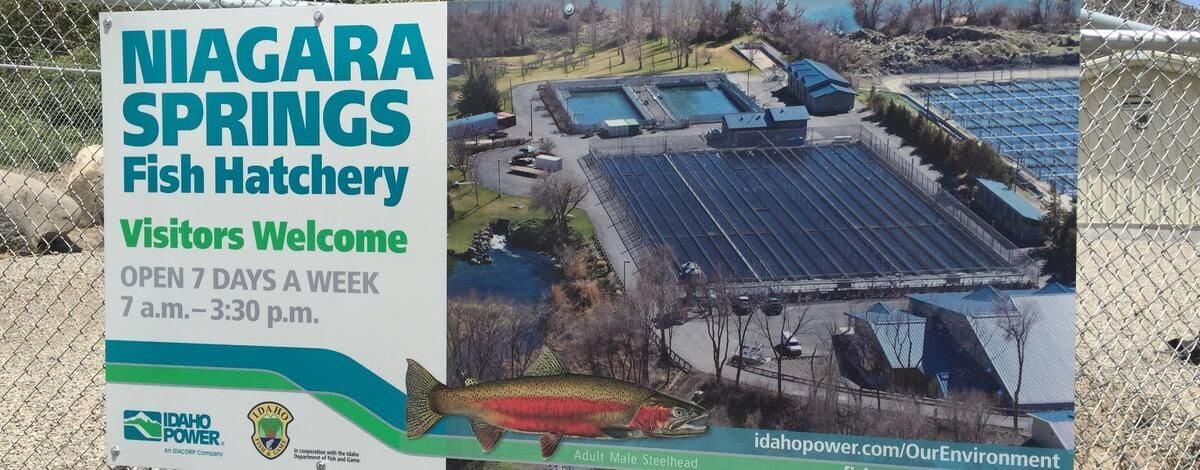 Niagara Springs Fish Hatchery closed to the public for construction beginning June 22