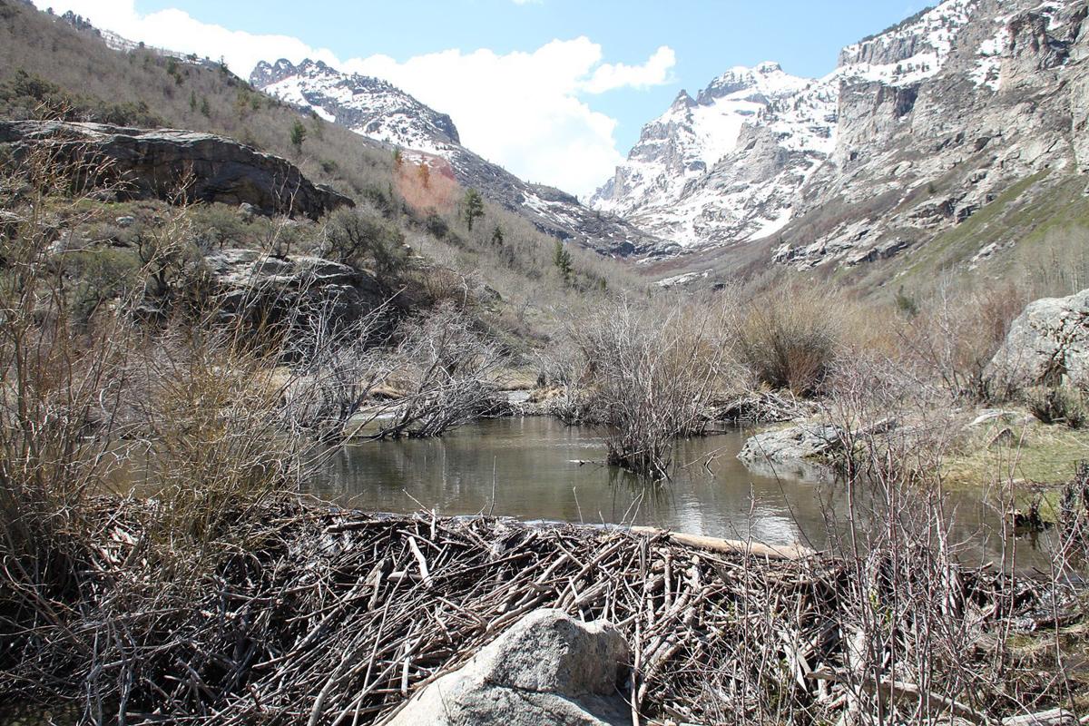 Right Fork Canyon