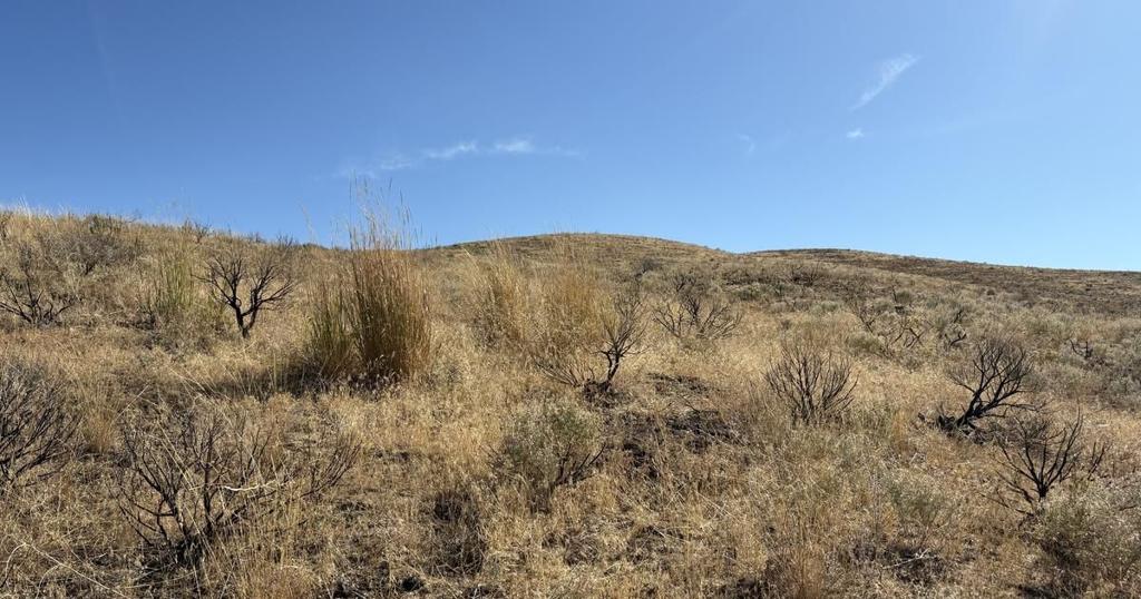 Low-level aerial spraying to continue in Magic Valley