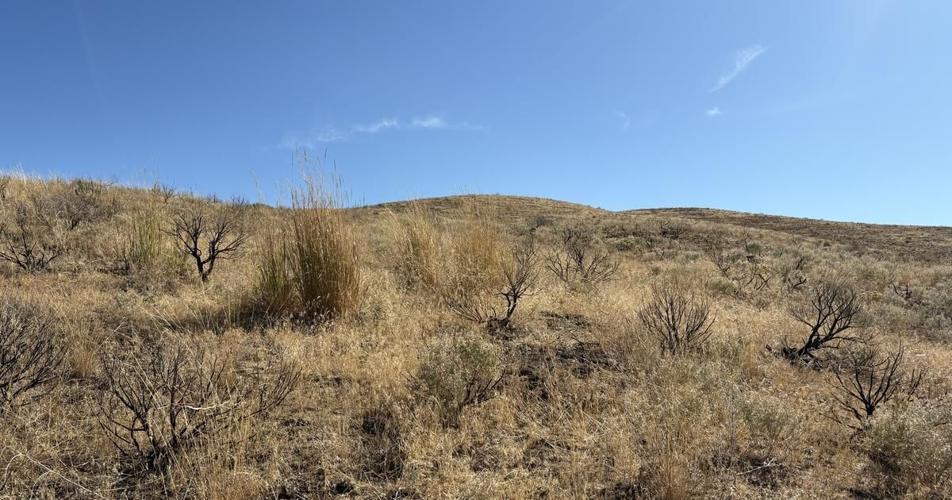 UPDATE: Low-level aerial spraying flights to continue in late October to complete project in the Magic Valley Region