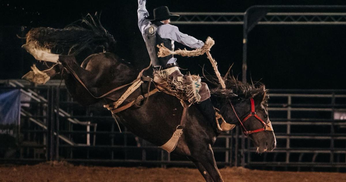 Local college rodeo athletes dominate Rocky Mountain Region