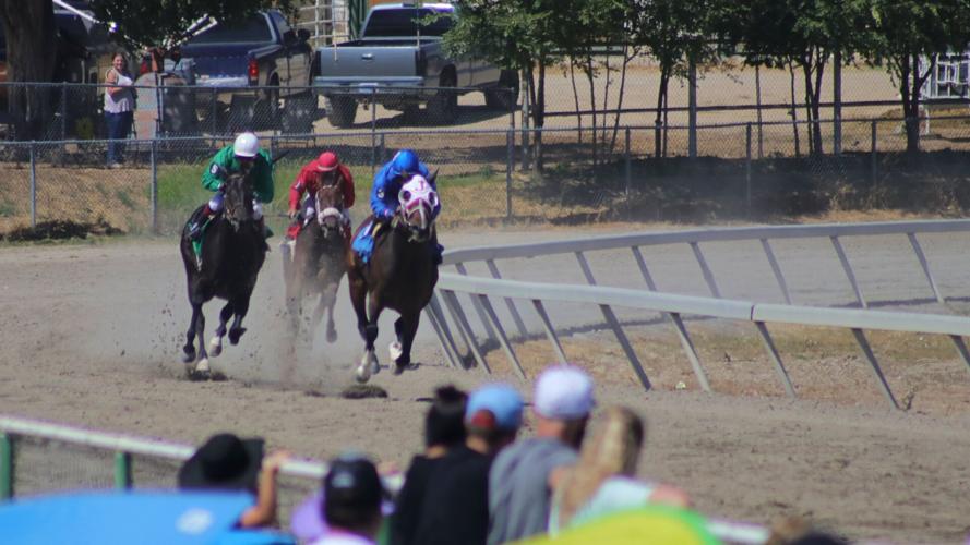 Elko County Fair Horse Racing