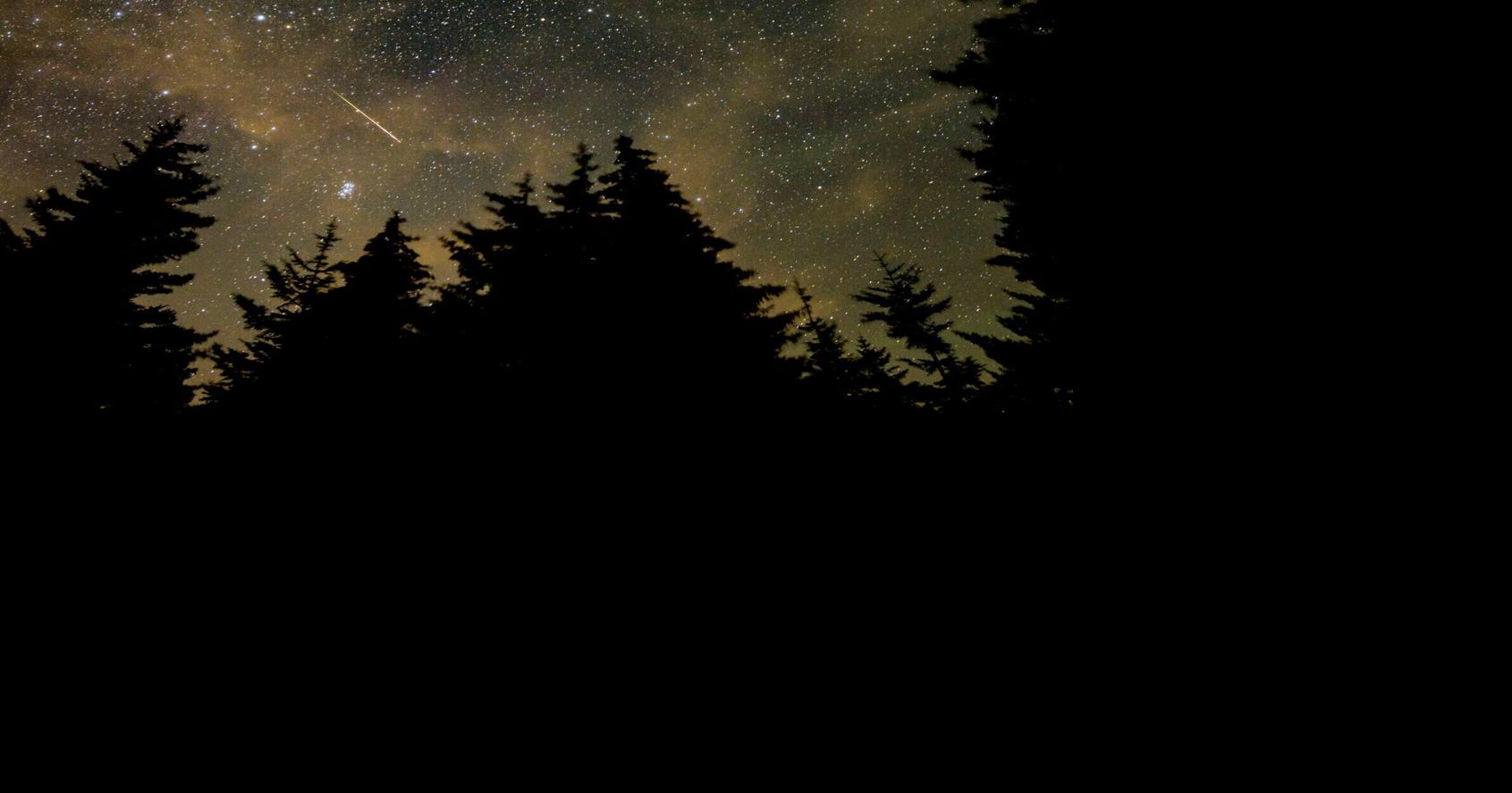 Hanington: Don't miss the Perseid meteor shower this week