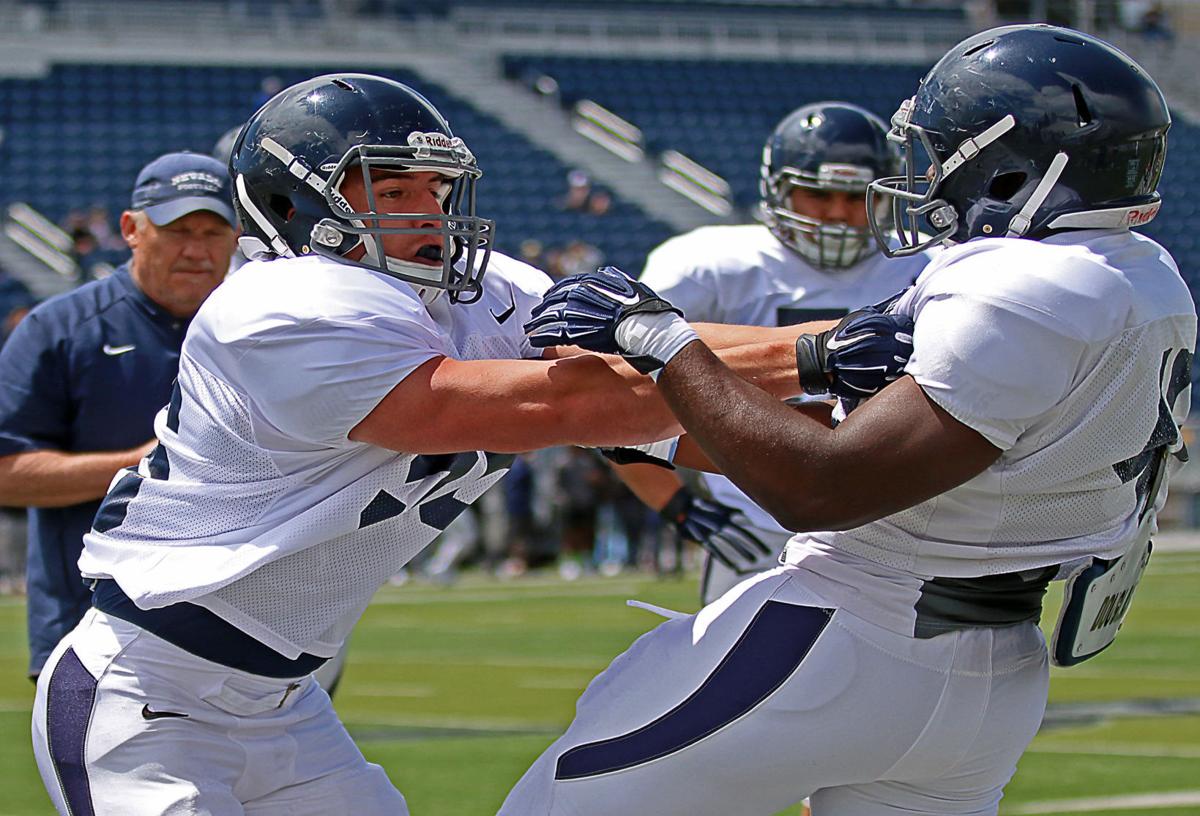 Wolf Pack Launches We Are Nevada Campaign Local Sports Elkodaily Com
