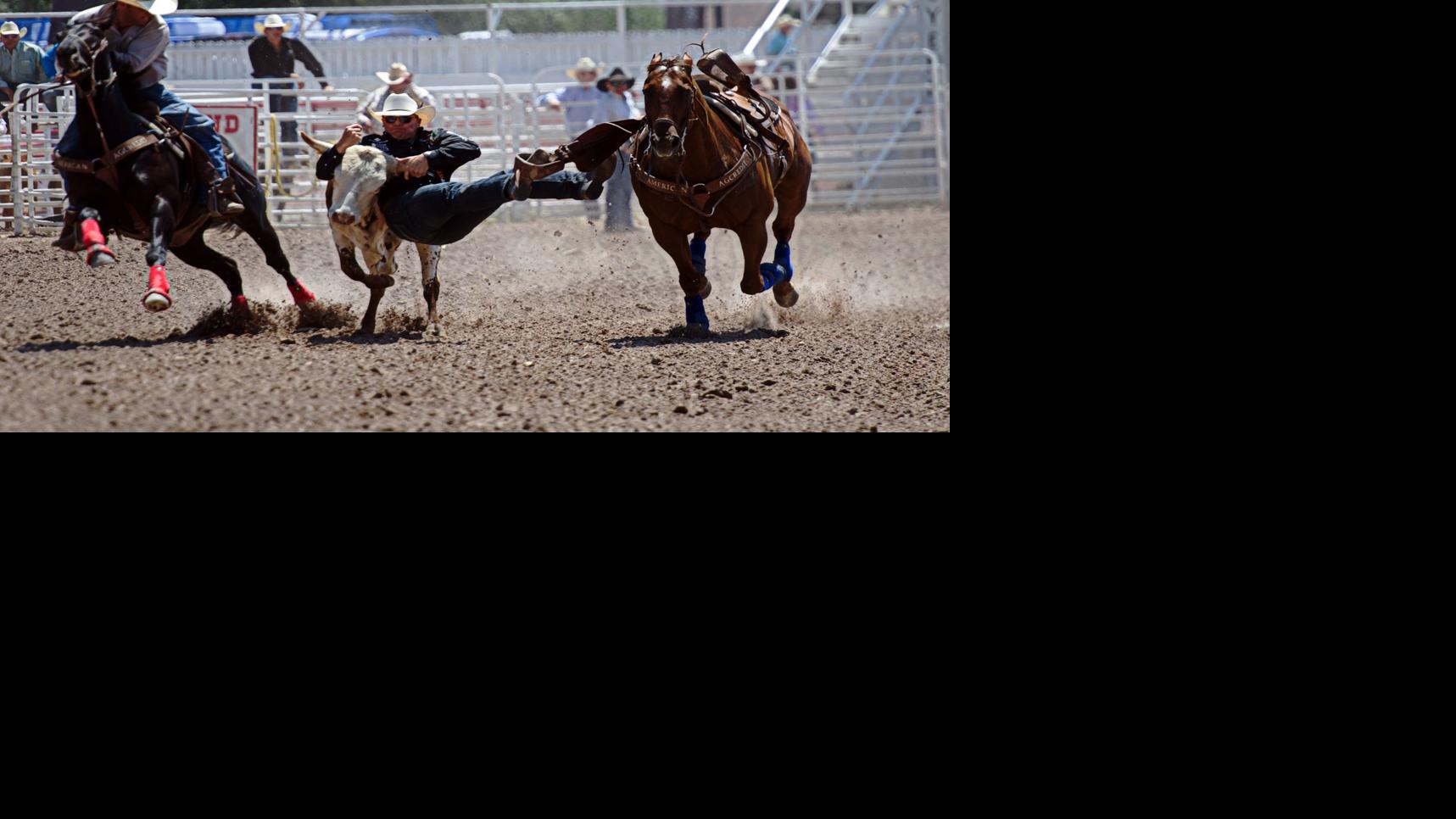 Nevada cowboys surging toward finals Local