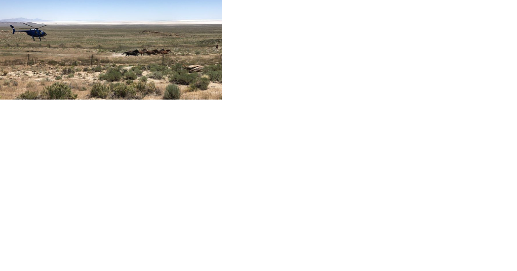 County calls out congresswoman on roundup comments - Vimarsana News