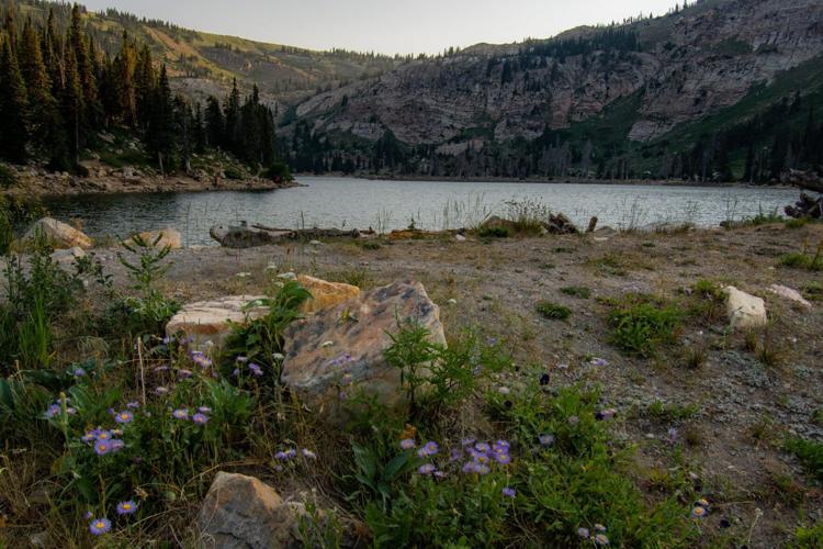 Lake Cleveland: A Refreshing Summer Escape in Southern Idaho’s Albion Mountains