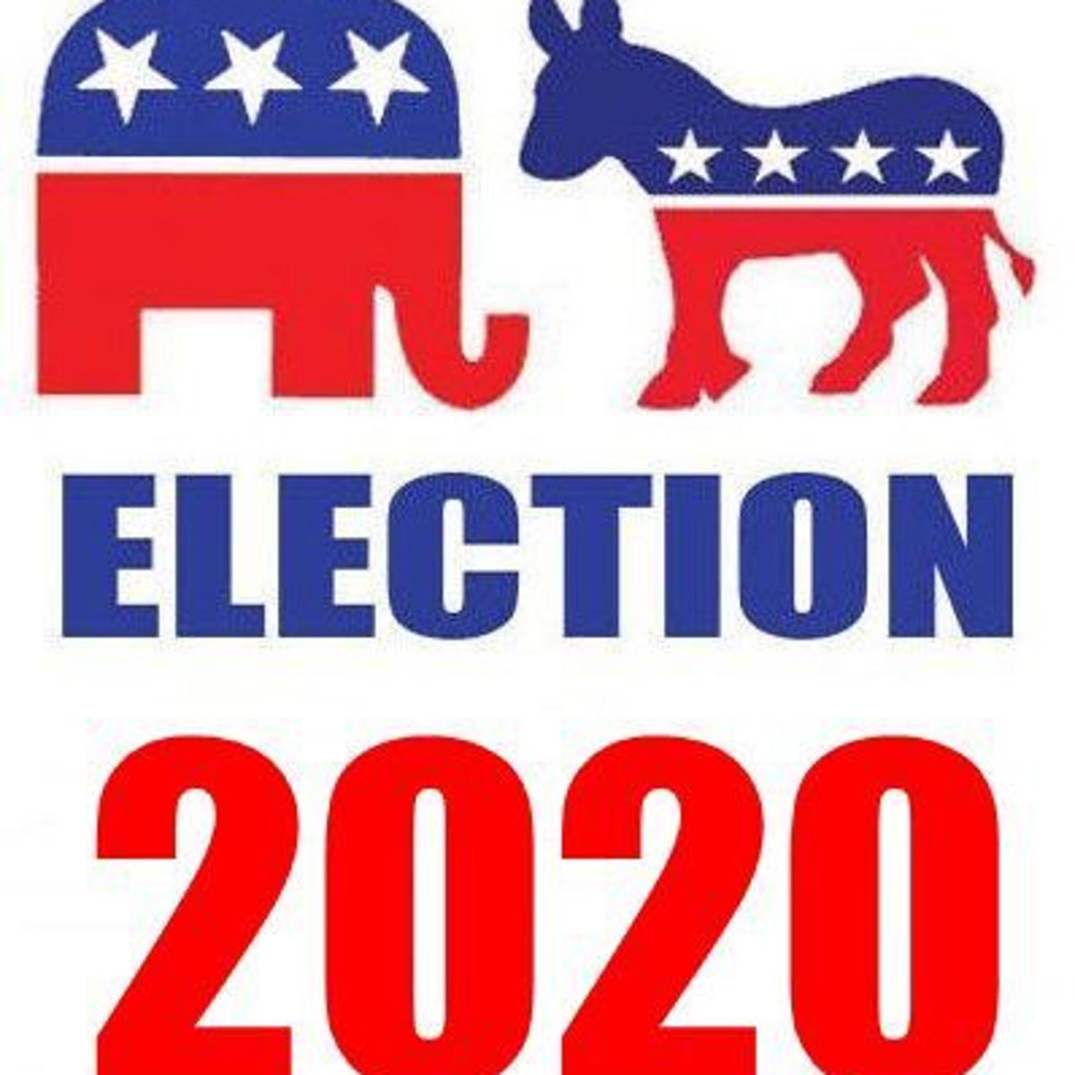 Same Sex Marriage Renewable Energy On Nevada Ballot Govt And Politics Elkodaily Com
