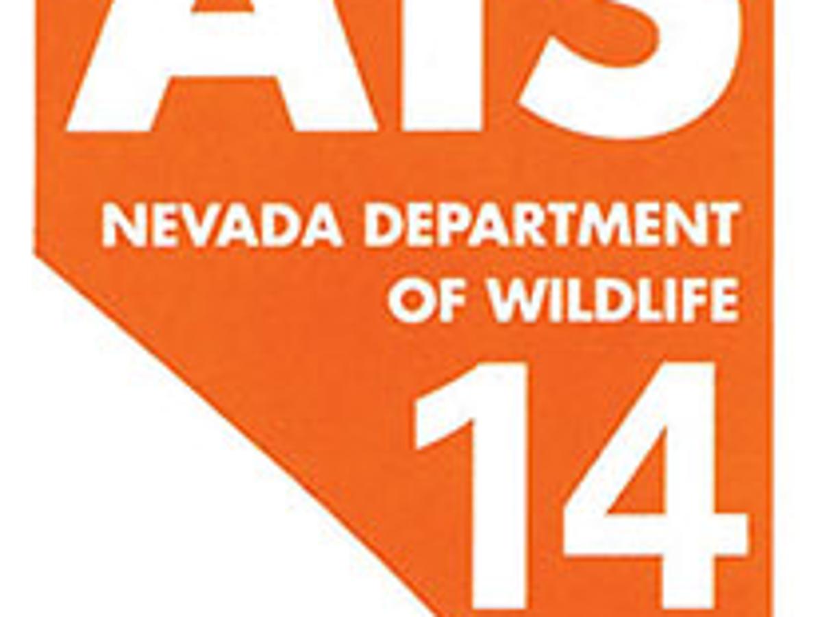 Out Back Ais Decal Program Under Way Lifestyles Elkodaily Com