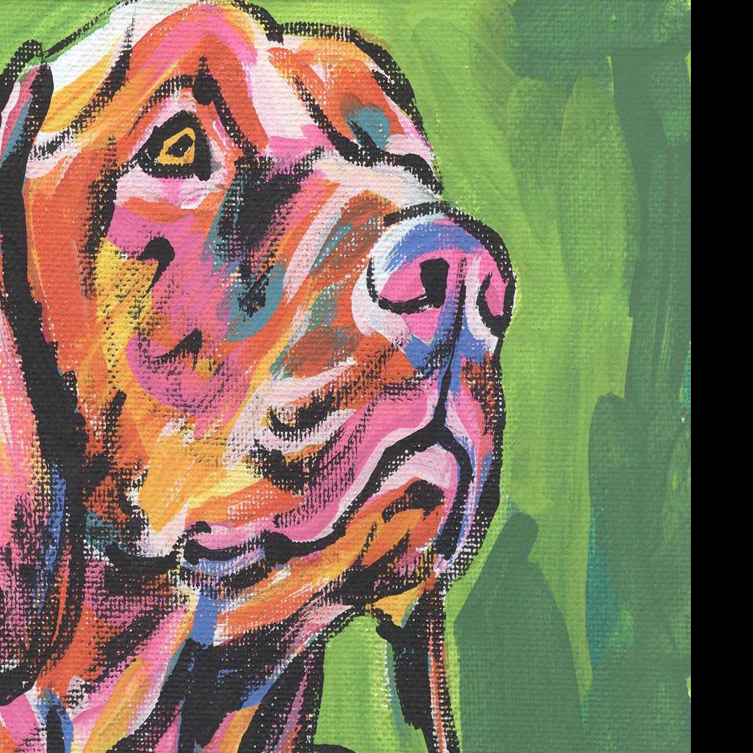 Crafts To Do With Your Pets Pets Elkodaily Com