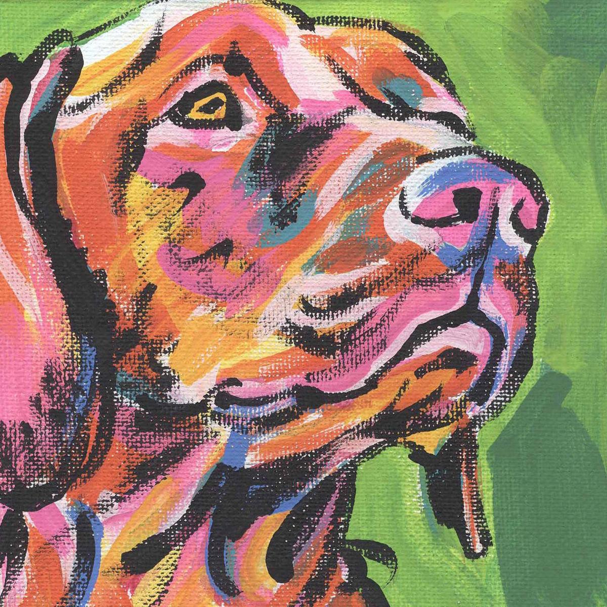 Crafts To Do With Your Pets Pets Elkodaily Com