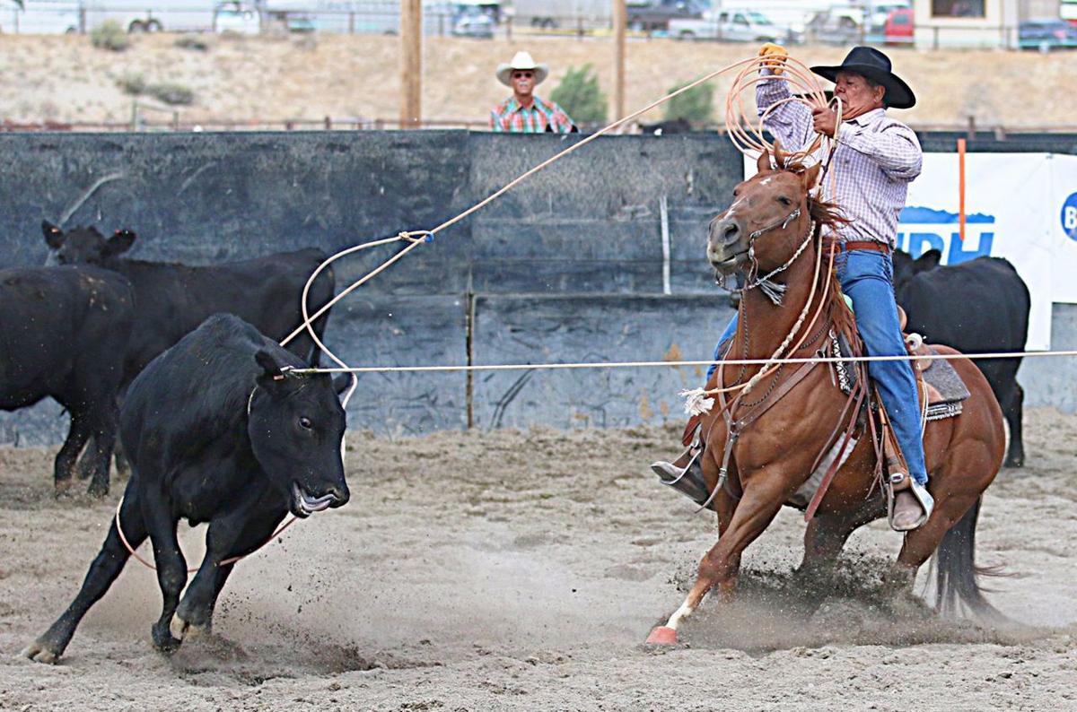 2017 Elko County Fair Schedule Lifestyles Elkodaily Com