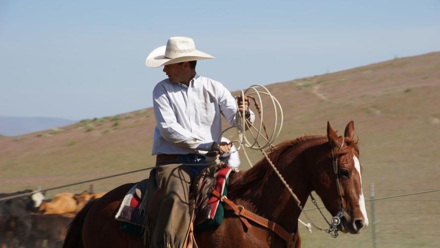 Elko Land & Livestock Co. marks 40th year