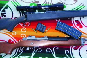 The Perfect Varmint Rifle