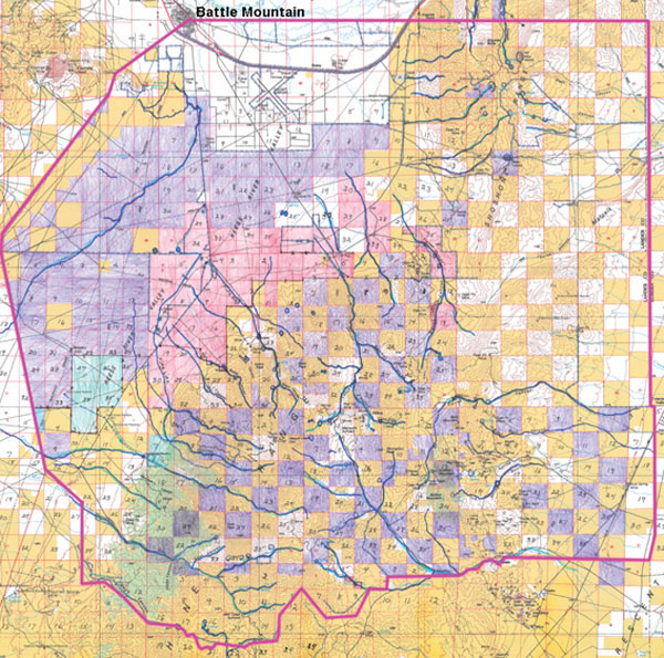 New BLM Battle Brewing Over Lander County Grazing | News | Elkodaily.com