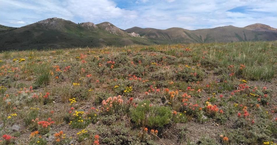 New access easement opens route to public lands in Kelsaw Canyon