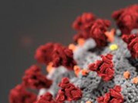 Update Humboldt County Reports First Death From Coronavirus Local Elkodaily Com