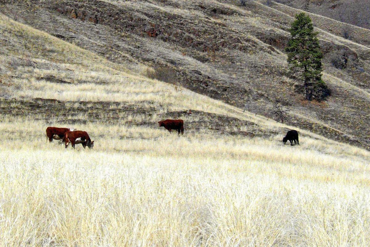 Grazing Lawsuit