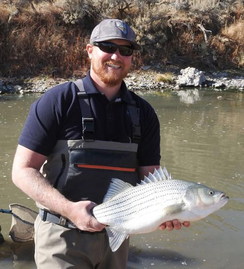 Joe S Fishing Hole Catch And Release Requires Light Touch