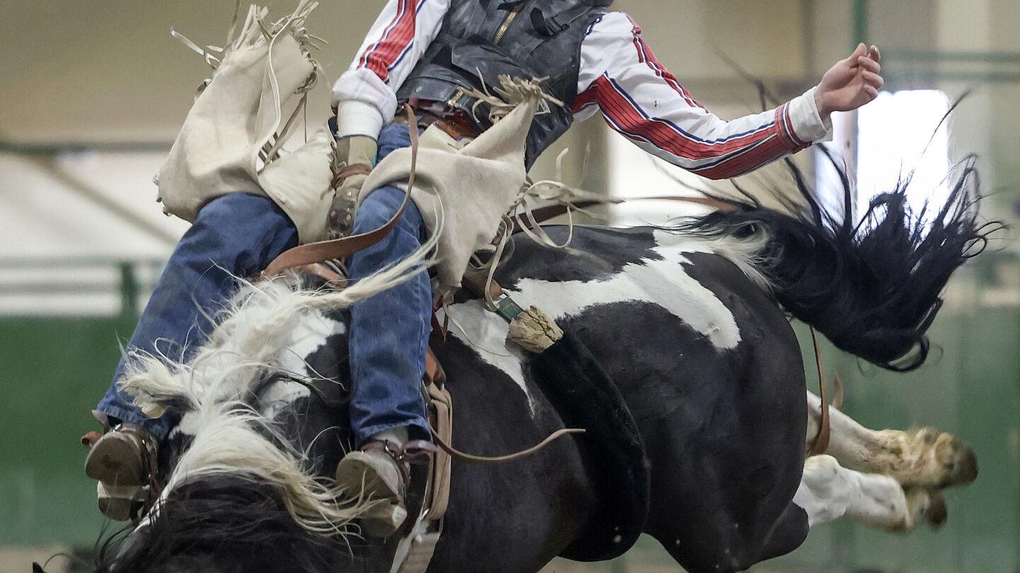 Elko Local News elkodaily com