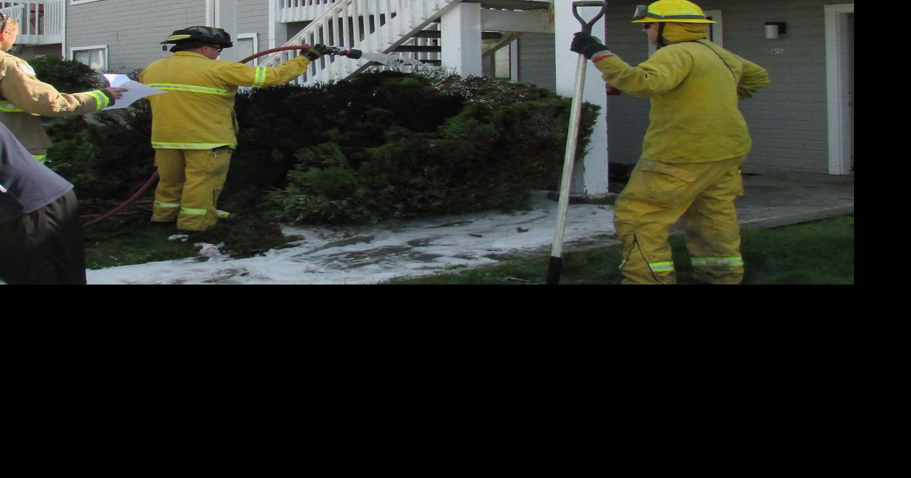 Fire burns shrub at Sagecrest Apartments