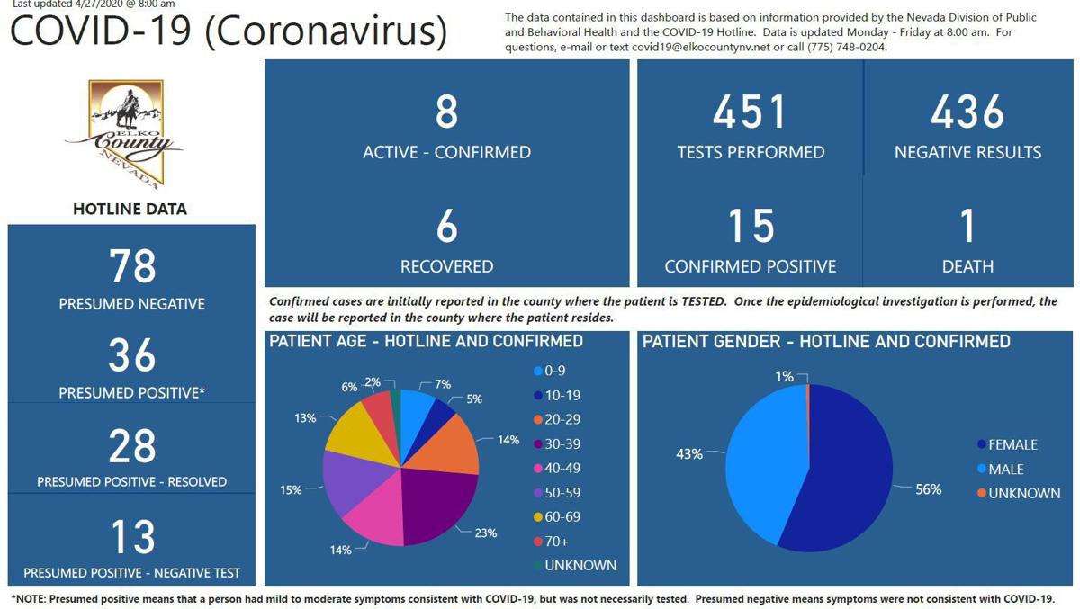 Elko County coronavirus cases