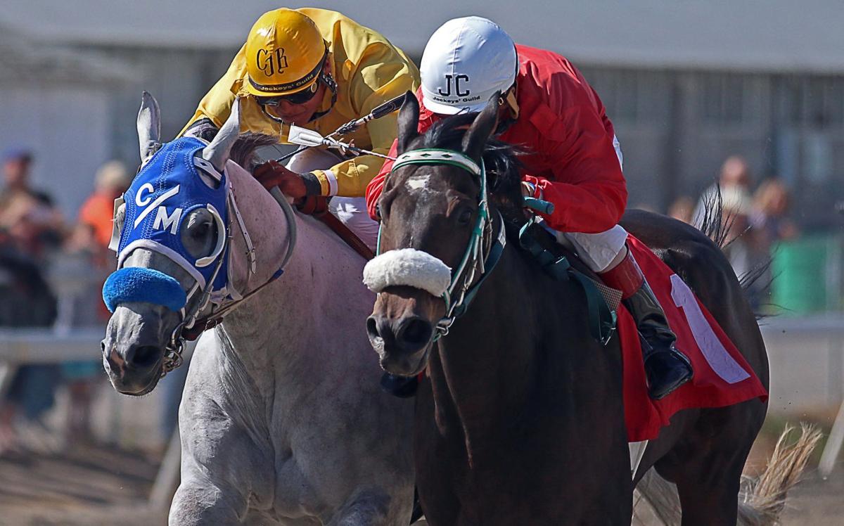 Horse Racing Elko County Fair