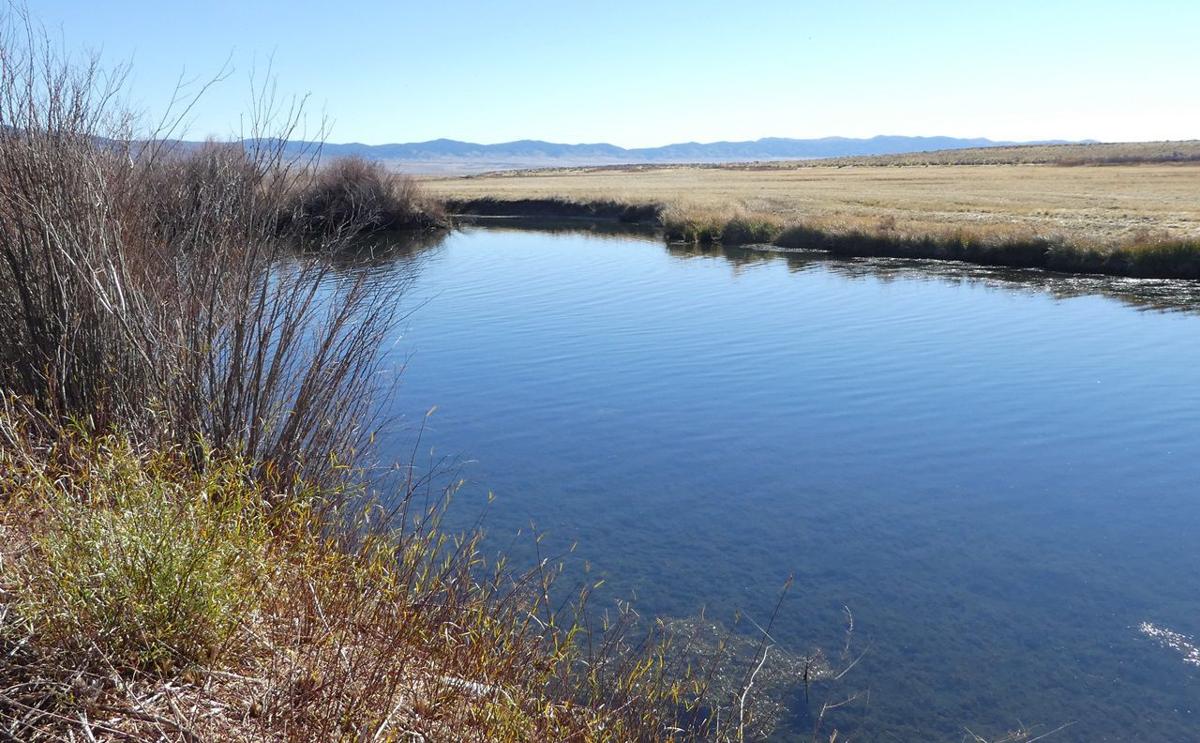 Nature Notes Nevada’s water laws