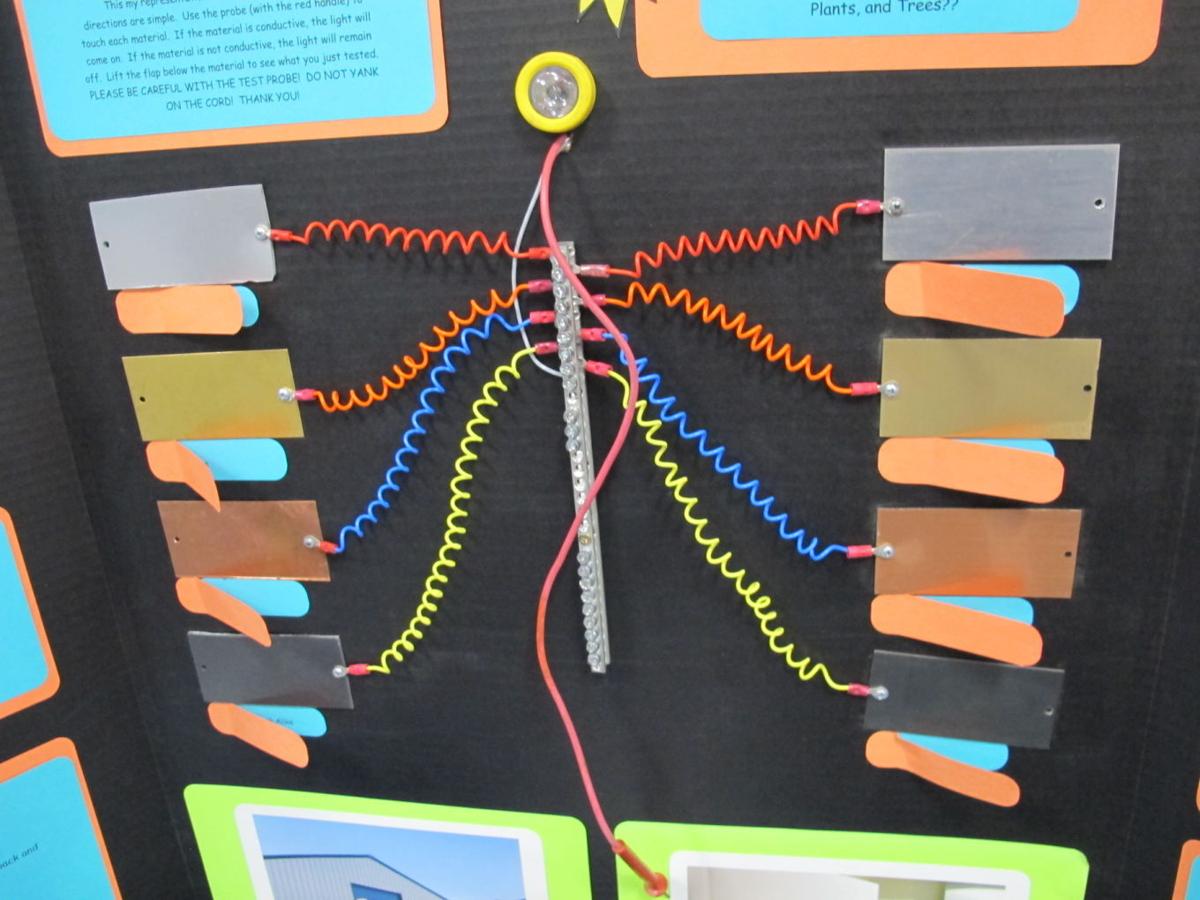 Science Fair Winners Projects