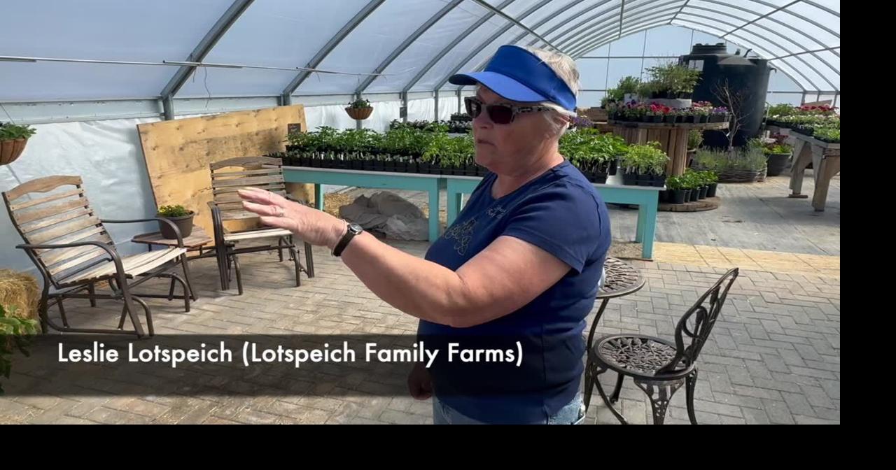 Tour of Lotspeich Family Farm's new greenhouse and store