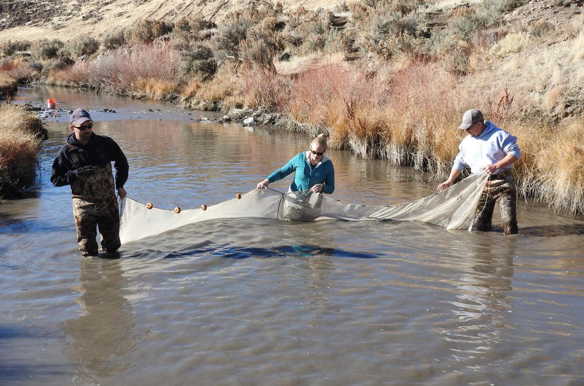 Joe S Fishing Hole Thousands Of Fish Moved After Dam Breaks