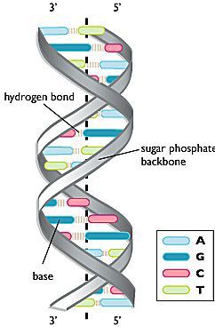 Life Sciences Cyberbridge