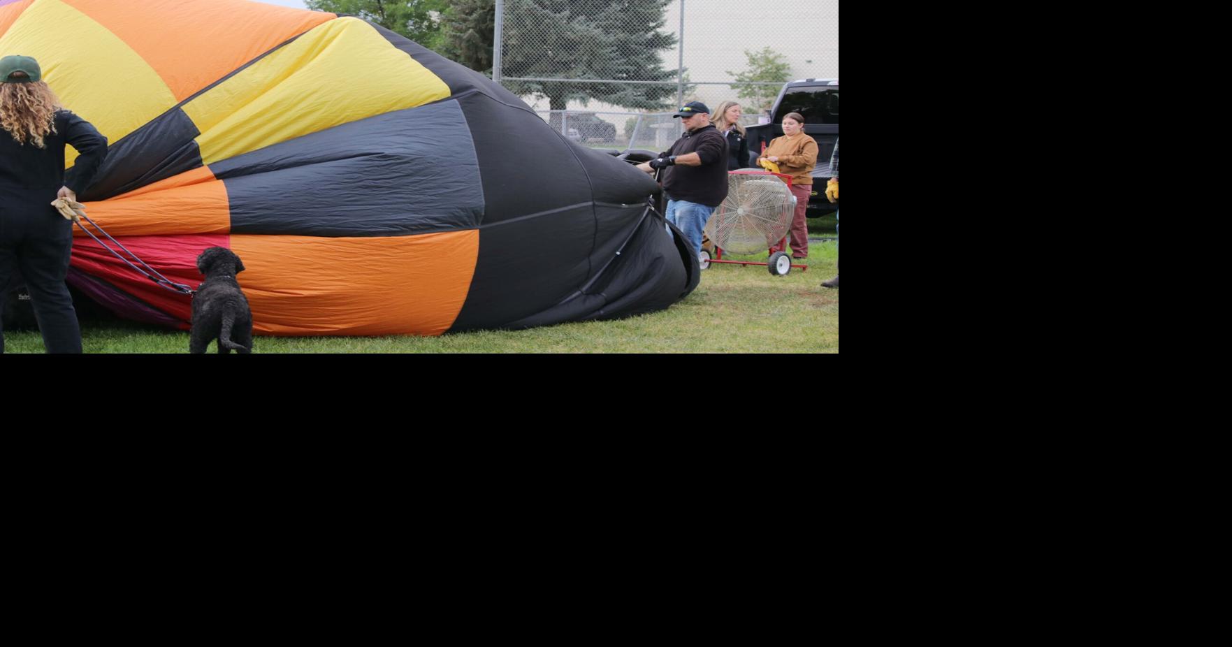 Sunflower hot air balloon