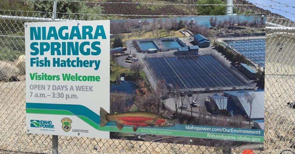 Niagara Springs Fish Hatchery closed to the public for construction beginning June 22