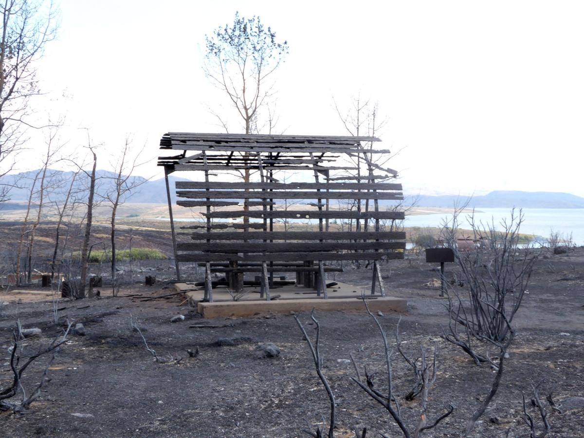 Wildhorse Campground