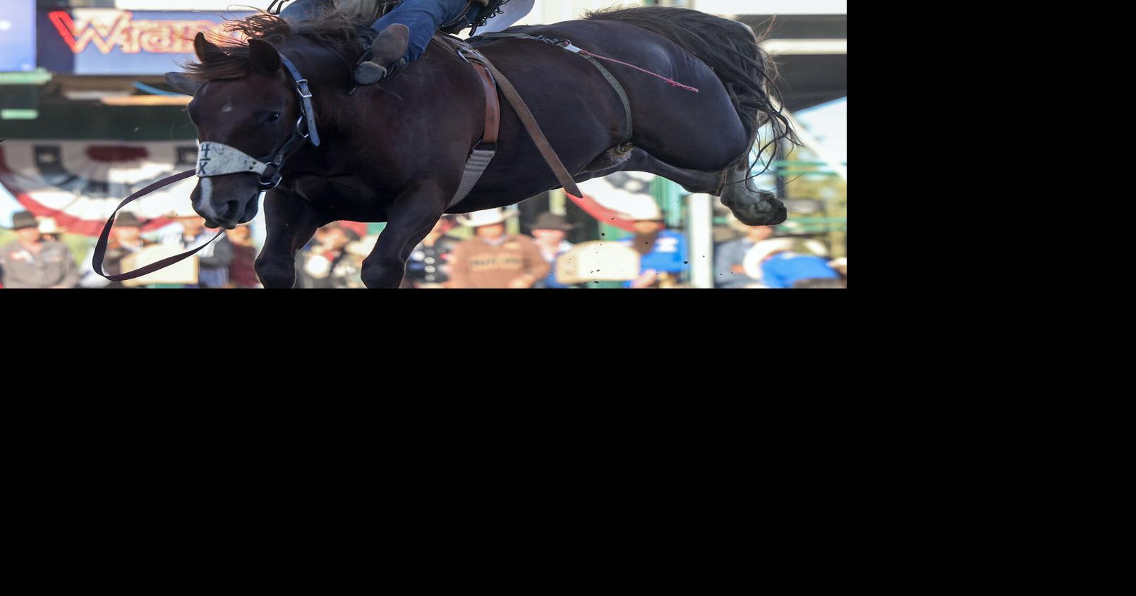 Rodeo Rodeo champions