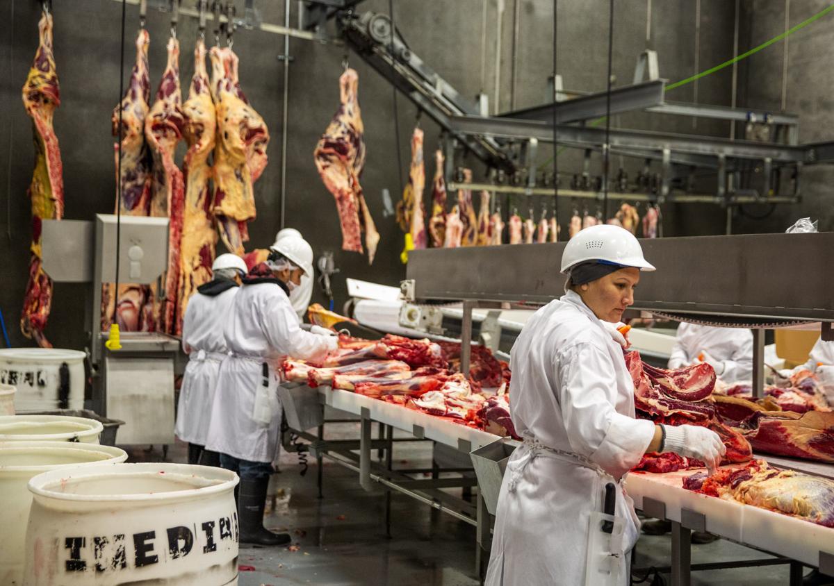 Beef plant opens in southern Idaho State &amp; Regional