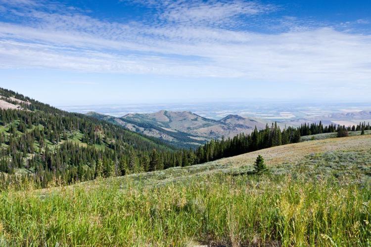Lake Cleveland: A Refreshing Summer Escape in Southern Idaho’s Albion Mountains