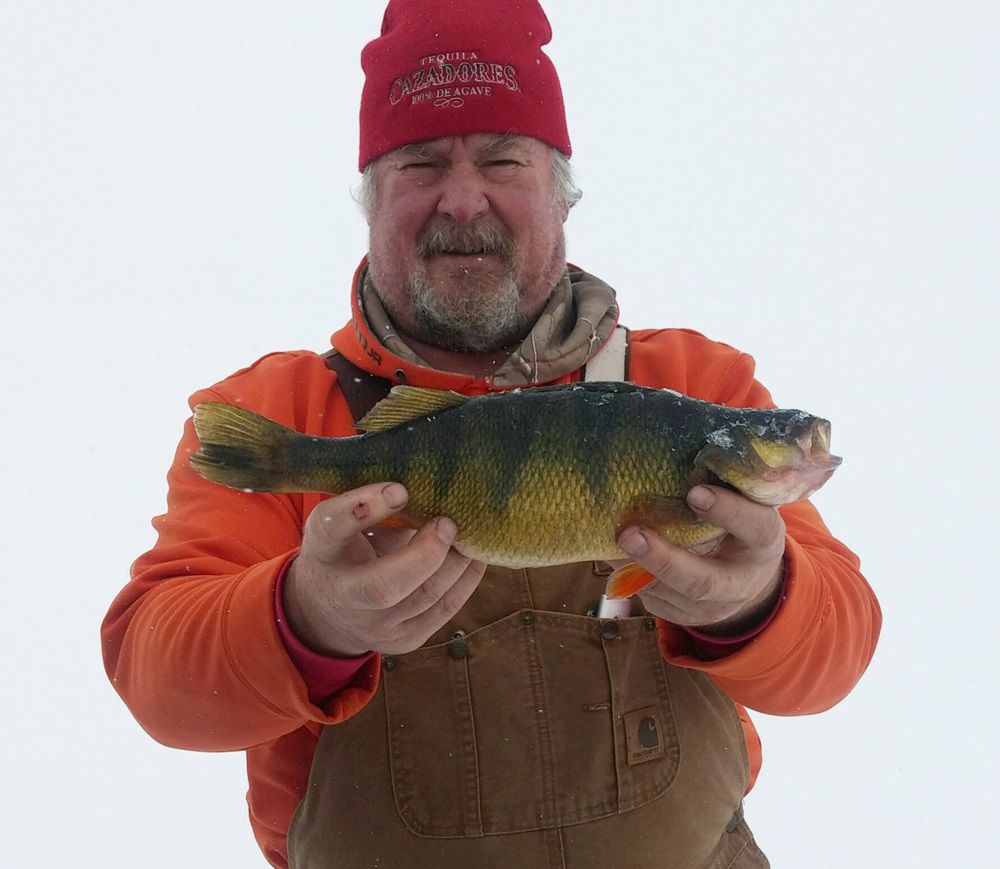 Georgia Angler Catches Giant, Almost-Record Yellow Perch