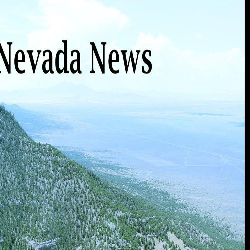 Gay Marriage Voting Rights Ballot Questions Pass In Nevada State Regional Elkodaily Com