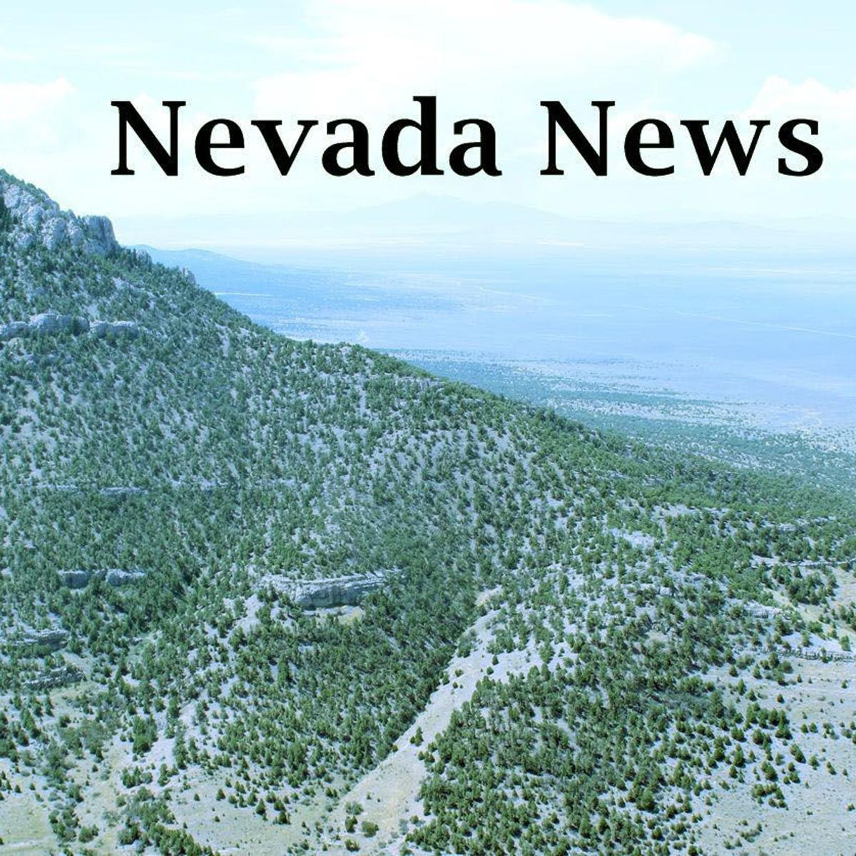 Gay Marriage Voting Rights Ballot Questions Pass In Nevada State Regional Elkodaily Com