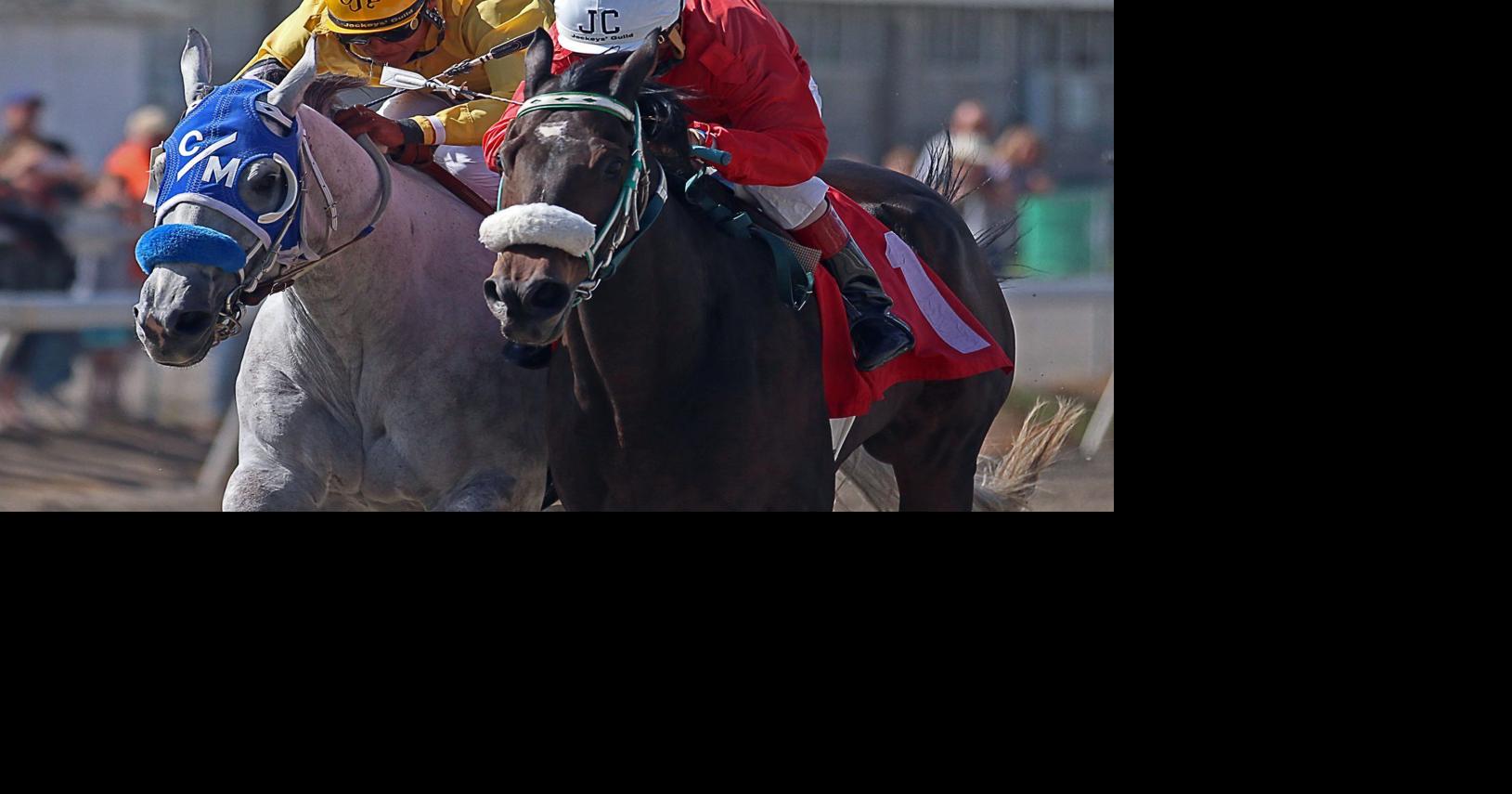 Horse race will honor six branches of military