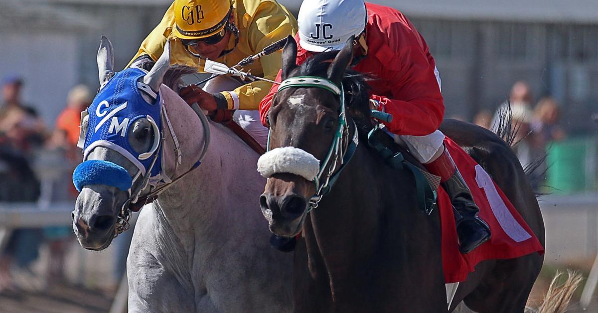 Horse race will honor six branches of military