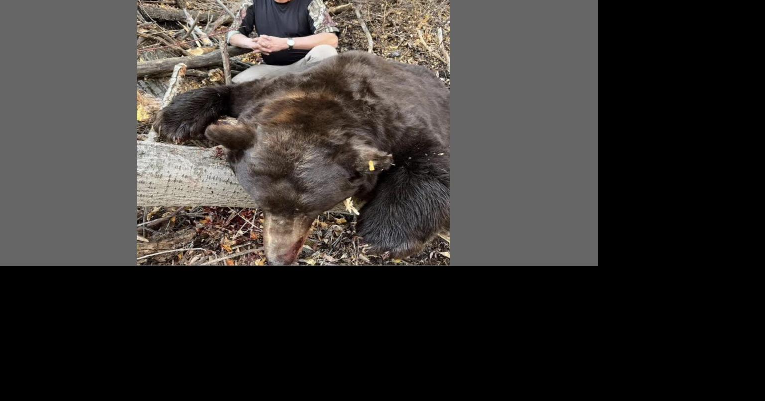 Pershing commissioner, guide plead guilty in bear killing